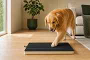 Scratch & Treat Nail Board