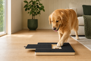 Scratch & Treat Nail Board